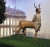 Blanckart tape sculpture of president Chirac